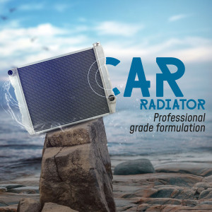 Car radiator on a rock with water and the word 'CAR' in blue text.