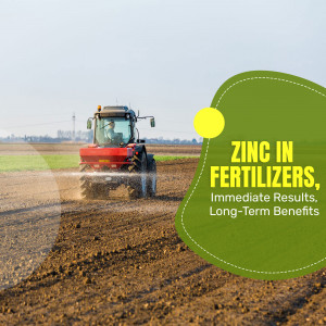 Red tractor spraying fertilizer on a field with a green graphic highlighting zinc benefits.