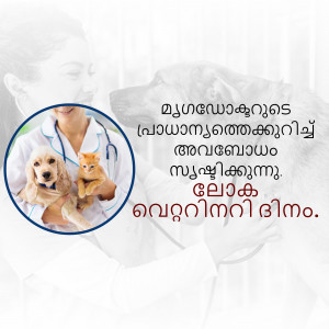 Veterinarian with a dog and cat