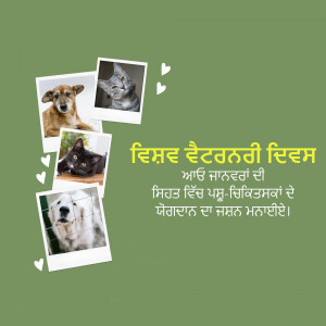 Poster with pictures of dogs and cats for pet adoption