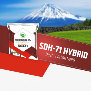 A packet of SDH-71 Hybrid Deshi Cotton Seeds with Mount Fuji in the background.