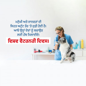 A female veterinarian examines a fluffy white and grey dog in a bright veterinary clinic.
