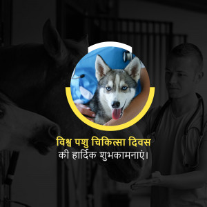 Veterinarian examining a husky dog with a horse in the background and text in Hindi.