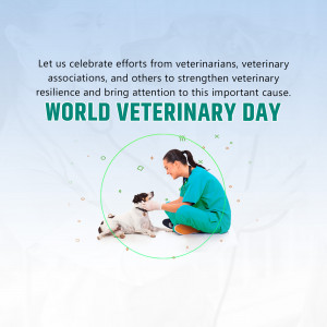 Veterinarian examining a dog on World Veterinary Day