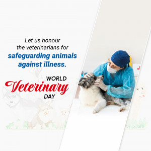 A veterinarian examining a cat, promoting World Veterinary Day.