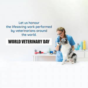 A veterinarian examining a dog in a clinic.