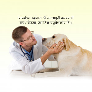 A veterinarian in a white coat gently examines a golden Labrador retriever.
