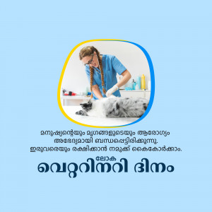 A veterinarian examining a fluffy grey cat on a veterinary table.