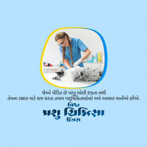 Veterinarian examining a cat in a clinic