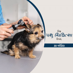 A veterinarian examining a small dog's ear with an otoscope.