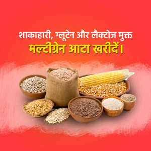 Assortment of grains including corn, millets, and pulses in bowls