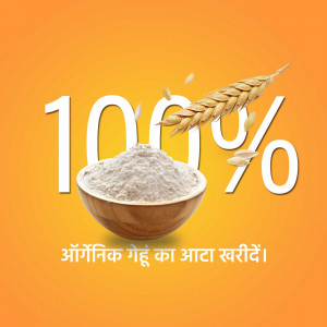 Image of 100% organic wheat flour in a wooden bowl with wheat stalks