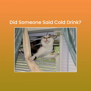 A white and brown cat reaching out of a window with blinds, looking hopeful.