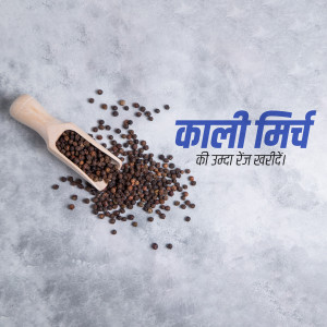 Wooden scoop filled with black peppercorns on a grey background with text in Hindi.