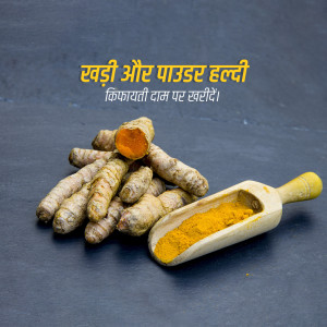 Close-up of turmeric roots and turmeric powder in a wooden spoon