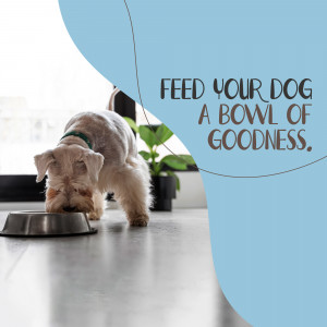 A cute dog eating from a silver bowl.