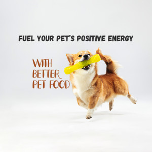 A corgi dog running and catching a piece of pet food in its mouth.