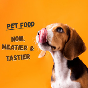 Close-up of a beagle licking its nose with text 'Pet Food - Now, Meatier & Tastier'