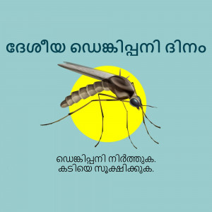 Image of a mosquito on a yellow background with Malayalam text promoting mosquito awareness.