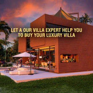 Modern luxury villa with pool and tropical surroundings