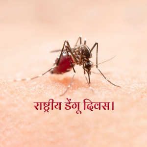 Close-up of a mosquito on human skin with text 'National Dengue Day' in Hindi.