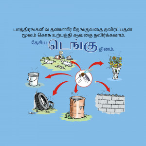 Illustration depicting the life cycle of a mosquito and breeding grounds for dengue fever.