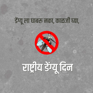 Image depicting a mosquito with a prohibition sign and text related to National Dengue Day.