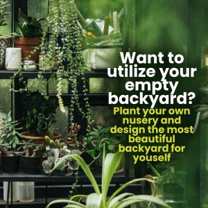 Green plants on shelves with text promoting backyard nursery design