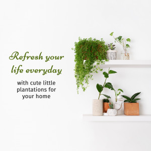 Wall decal with inspirational quote and potted plants on shelves