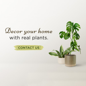 Image of indoor plants with text 'Decor your home with real plants' and a 'Contact Us' button.