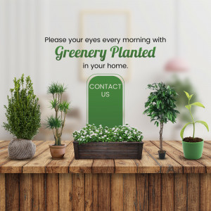 Assortment of potted plants on a wooden surface with a 'Contact Us' sign.