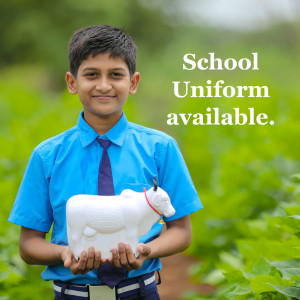 A young boy in a school uniform holding a white cow statue.