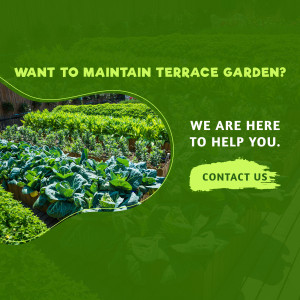 Image of a lush terrace garden with text promoting maintenance services.