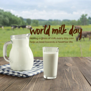 A pitcher and glass of milk with cows in the background, celebrating World Milk Day.
