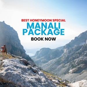 Manali honeymoon package promotion with a scenic mountain view.