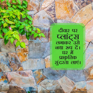 Stone wall with green plants and Hindi text in a green box