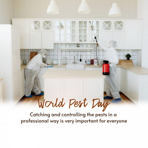 Two pest control professionals in protective suits disinfecting a kitchen.