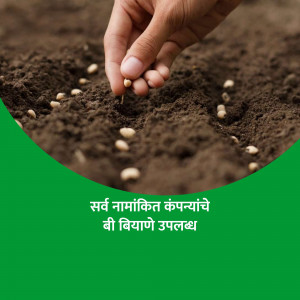 Hand planting seeds in fertile soil