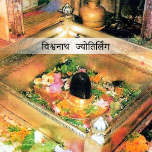Close-up of the Vishwanath Jyotirlinga at Kashi Vishwanath Temple