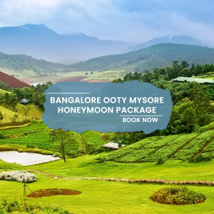 Scenic landscape promoting a honeymoon package to Bangalore, Ooty, and Mysore.
