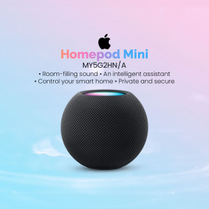 Apple Homepod Mini in space gray color