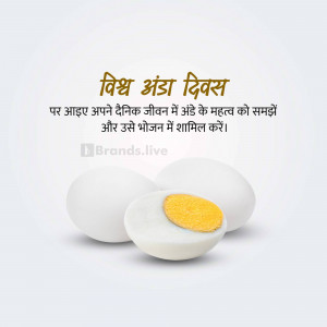 Image promoting World Egg Day with eggs and text in Hindi