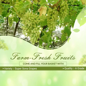 brands.live template