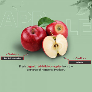 brands.live template