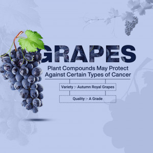 Close-up of dark purple grapes with text about plant compounds and cancer prevention.