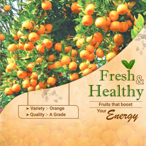 A branch laden with ripe oranges with text overlay 'Fresh & Healthy'