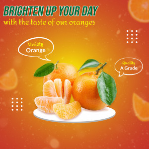 Fresh oranges with slices and leaves on a white plate