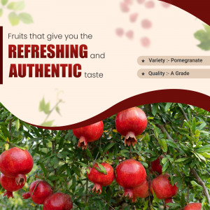 Close-up of ripe pomegranates on a branch with text highlighting their refreshing taste.