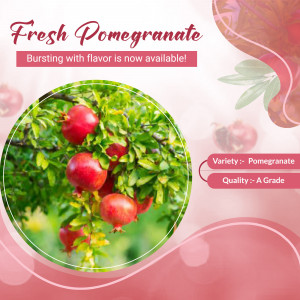 Close-up of fresh pomegranates on a branch with promotional text.