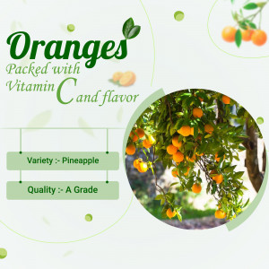 Image of oranges with text highlighting Vitamin C content and Pineapple variety.